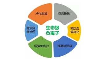 东鹏空气净化砖第三方测评 真能改善室内环境与市容吗？